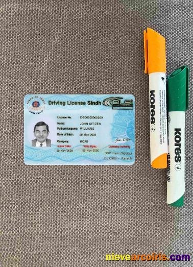 Pakistan Sindh province driving license (2016 present) photolook